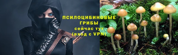 ГАЛЛЮЦИНОГЕННЫЕ ГРИБЫ Абдулино