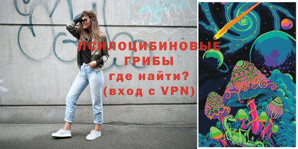 ГАЛЛЮЦИНОГЕННЫЕ ГРИБЫ Абинск