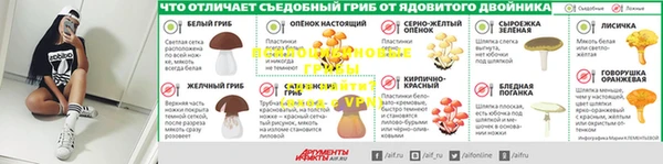 ГАЛЛЮЦИНОГЕННЫЕ ГРИБЫ Абдулино