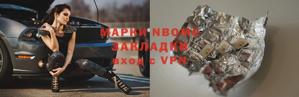гашик Алексин