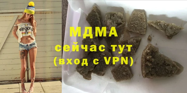 гашик Алексин