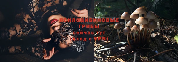ГАЛЛЮЦИНОГЕННЫЕ ГРИБЫ Абинск