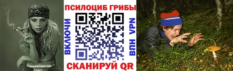 даркнет сайт  гидра   Галлюциногенные грибы мицелий  Щёлкино 